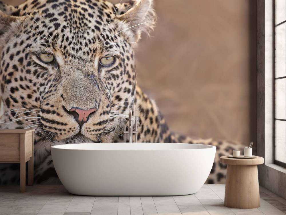 Ritratto di leopardo