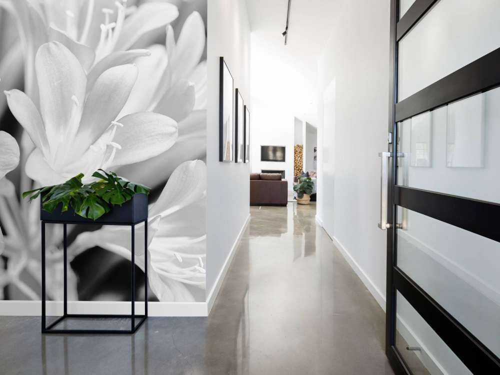 Fiori in fiore, bianco e nero