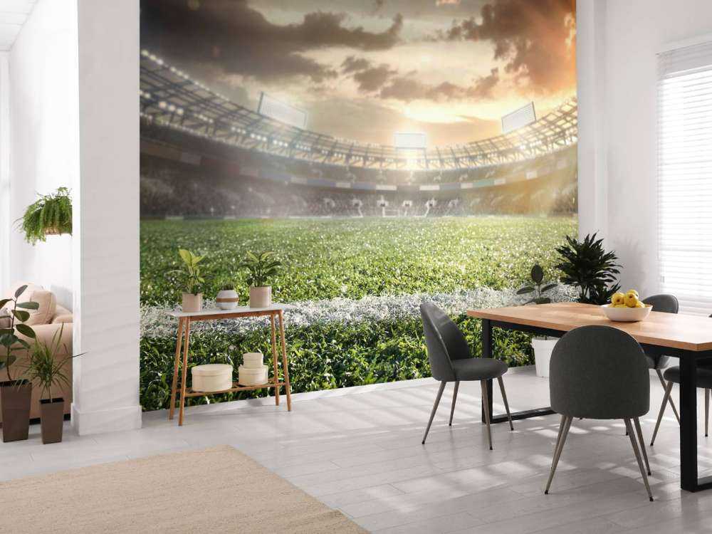 Stadio con erba artificiale