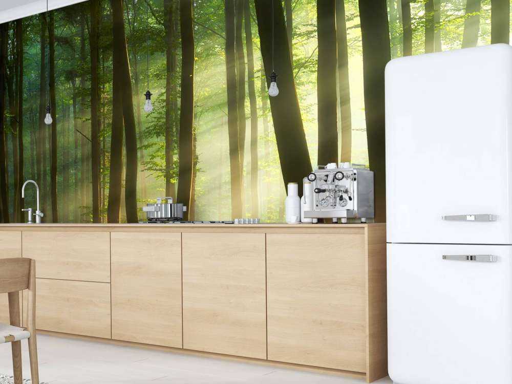 Il sole del mattino tra gli alberi