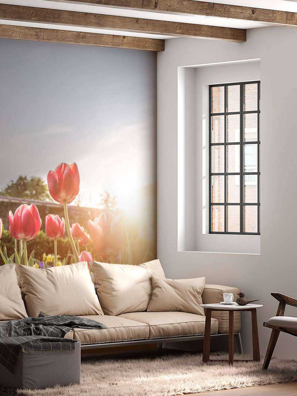 Fiori alla luce del sole