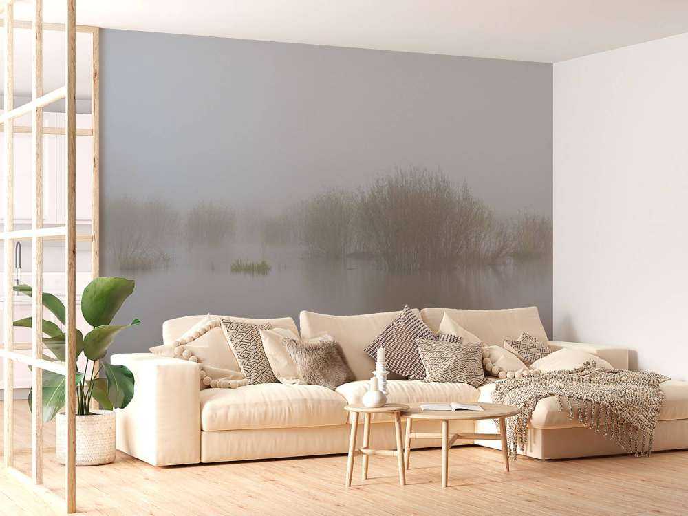 Nebbia nella riserva naturale