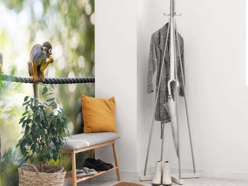 Scimmie scoiattolo su corda