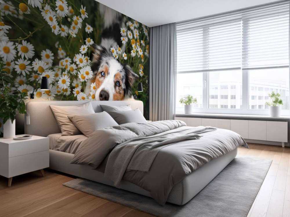 Pastore australiano tra i fiori