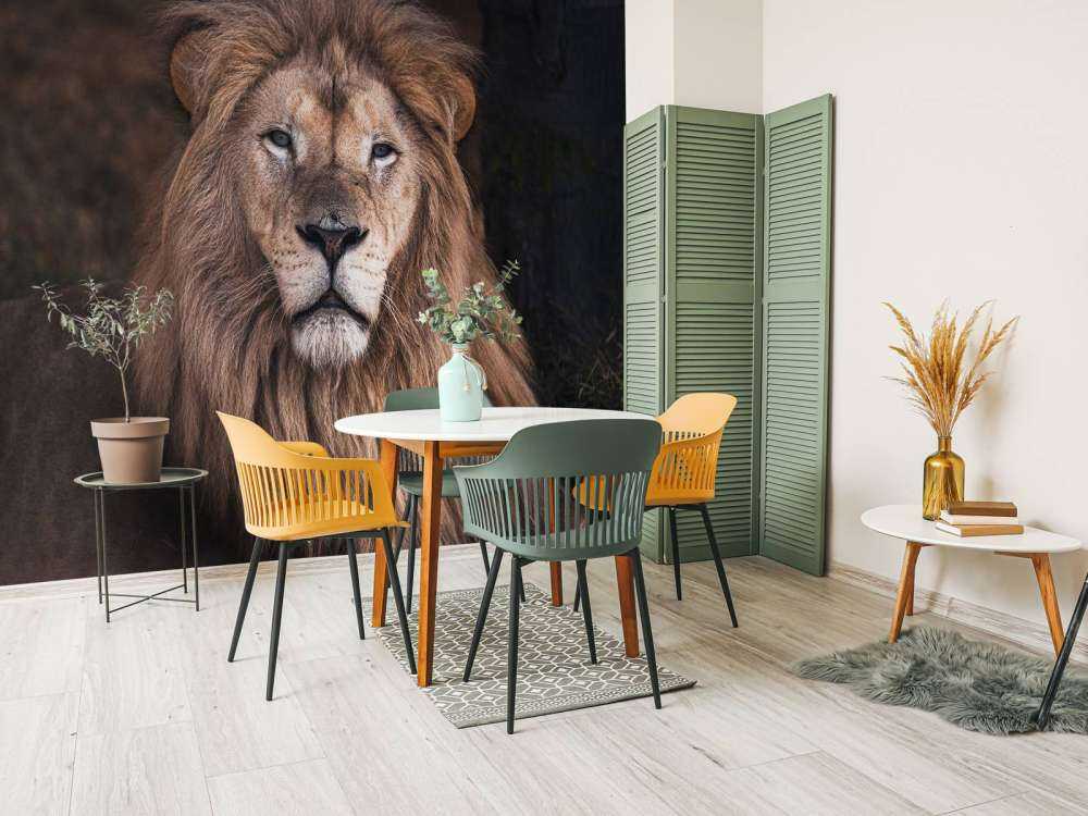 Ritratto di un leone