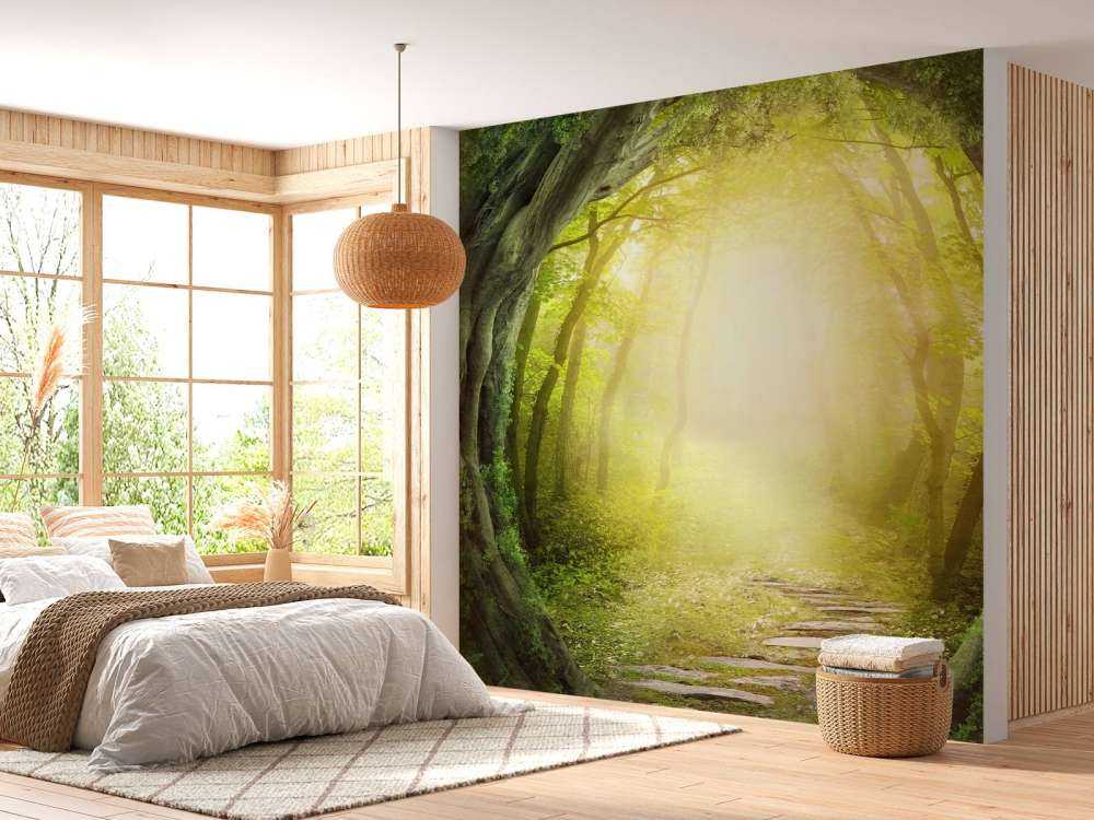 Sentiero di pietra nella foresta