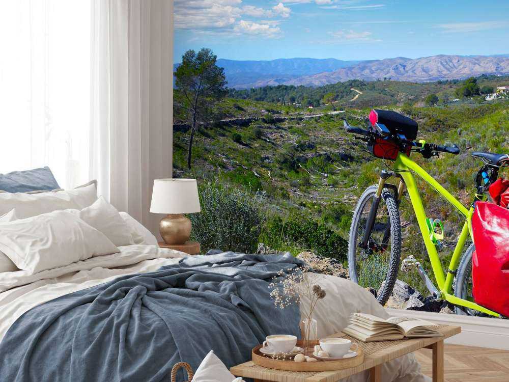 In bicicletta a Valencia