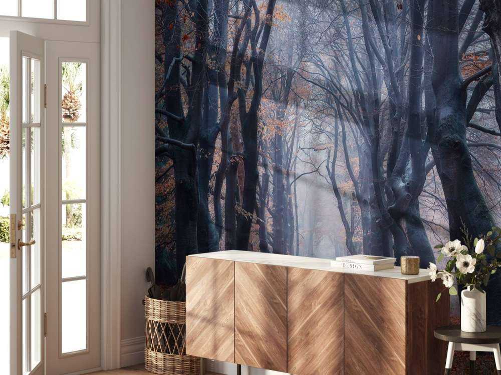 Sentiero forestale con foglie