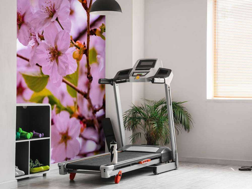 Fiori rosa con petali