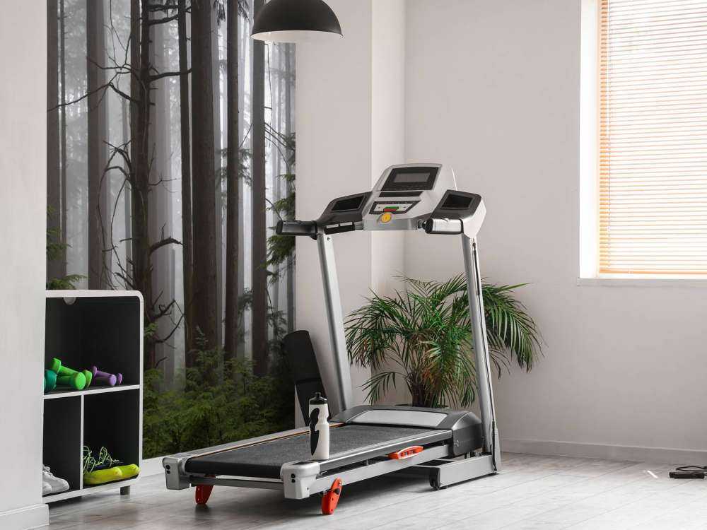 Foresta durante un giorno di nebbia