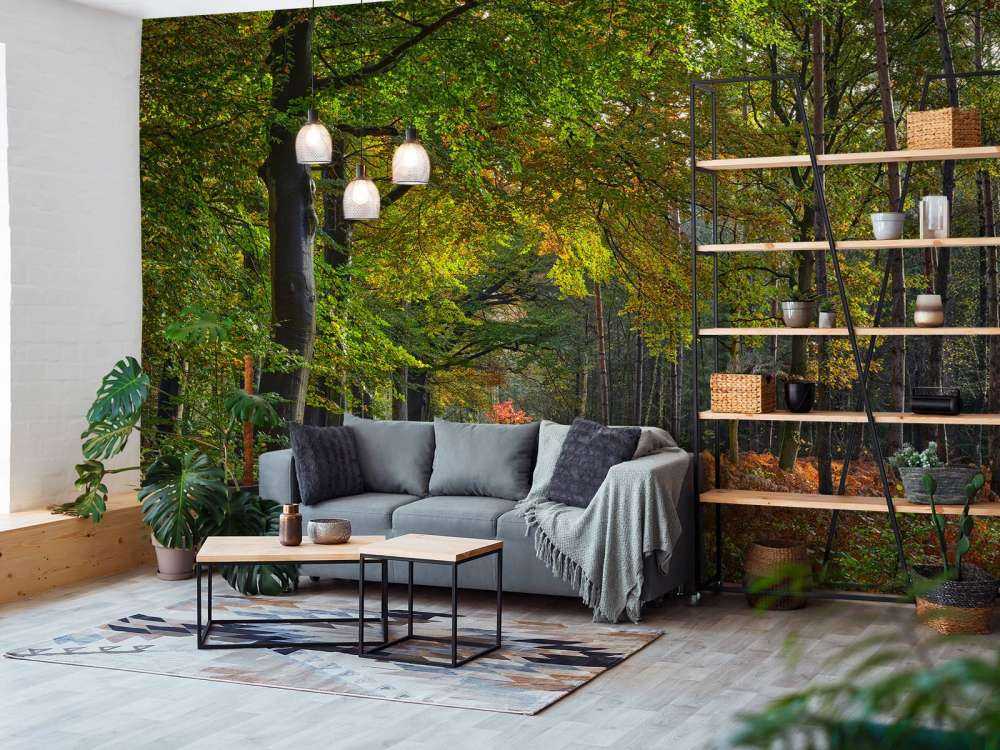 Sentiero con foglie attraverso la foresta