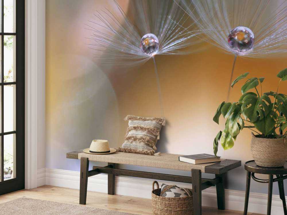 Semi di dente di leone