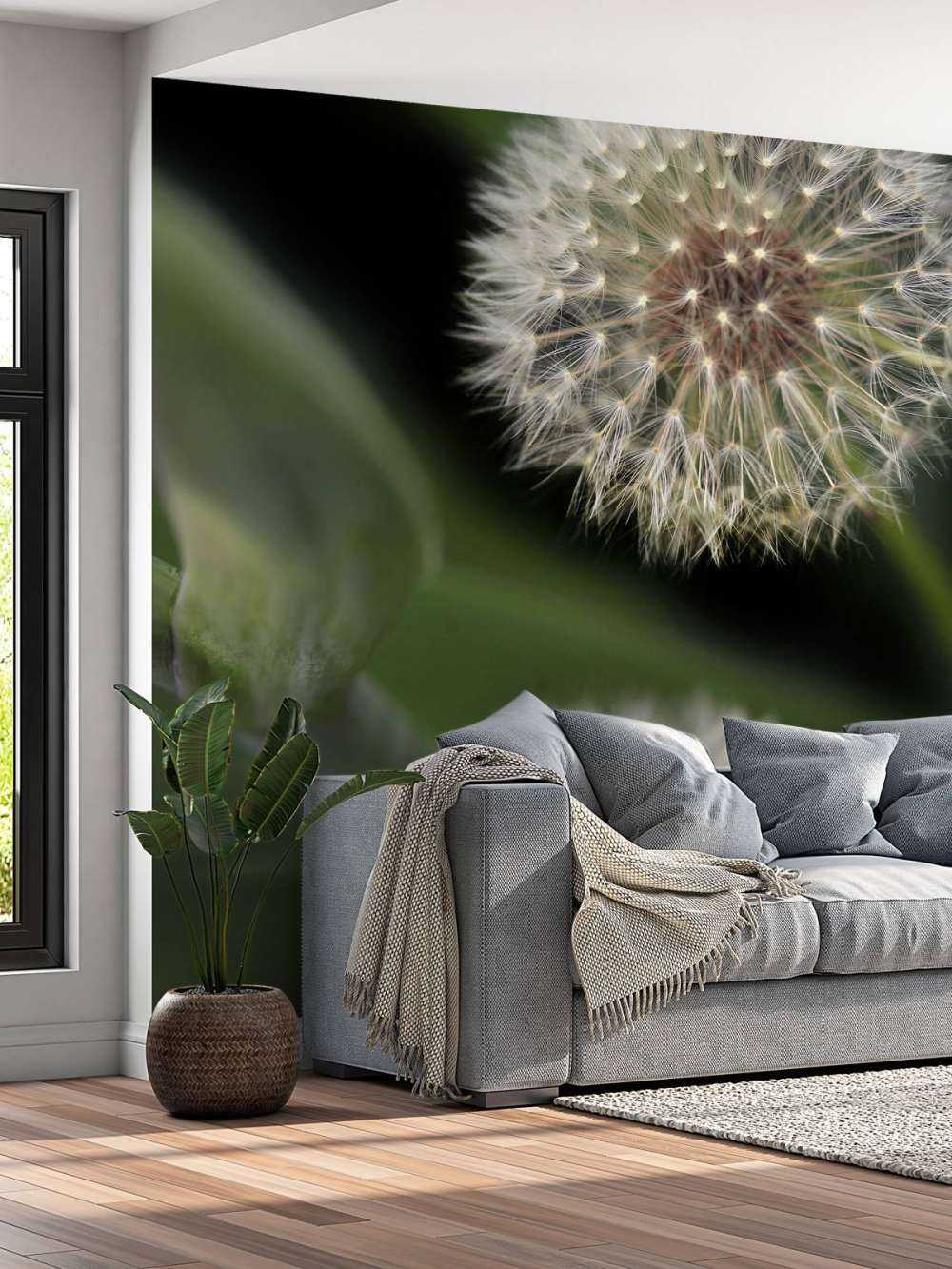 Denti di leone ravvicinati