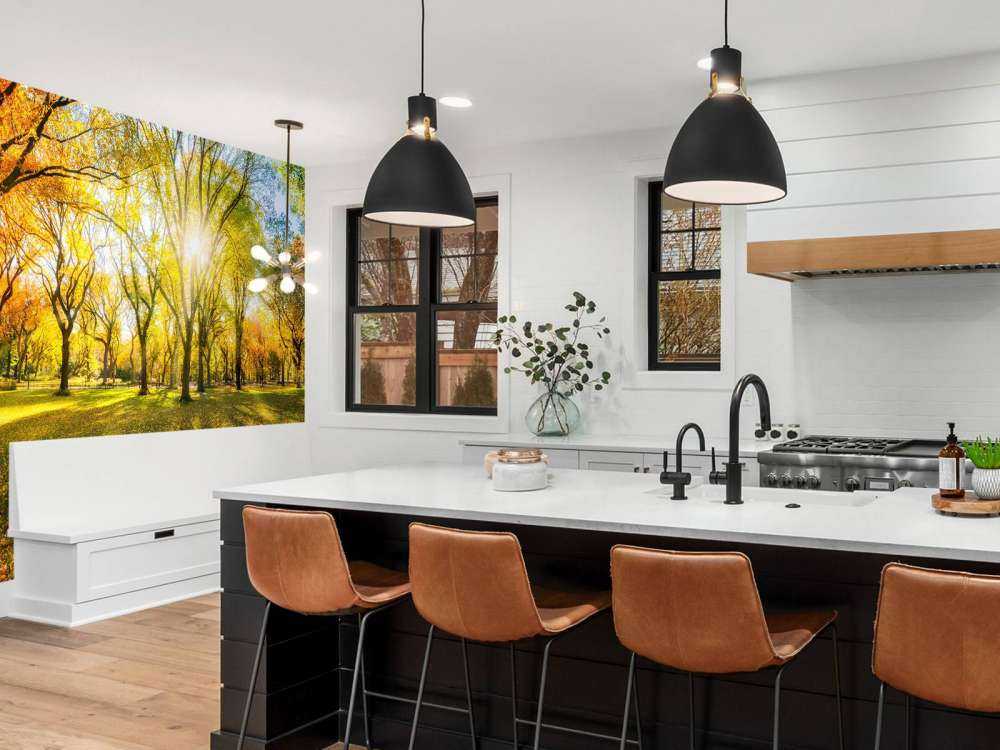 Foresta autunnale colorata