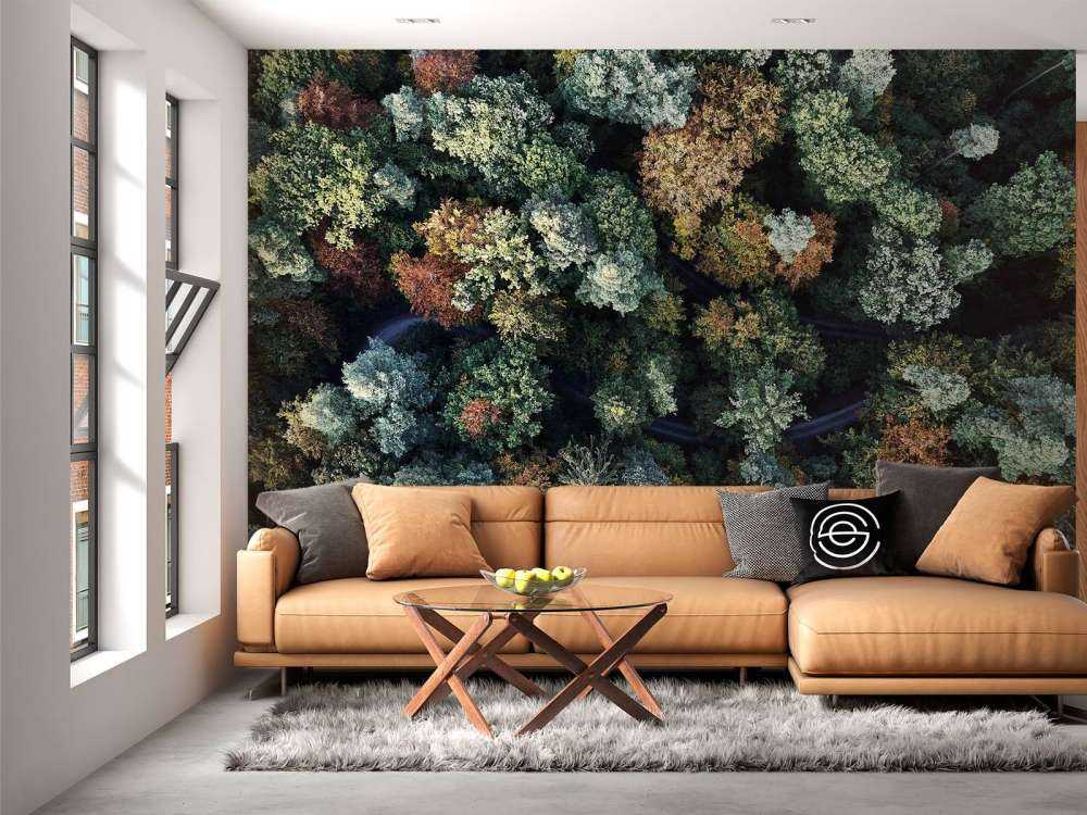 Foresta autunnale dall'alto