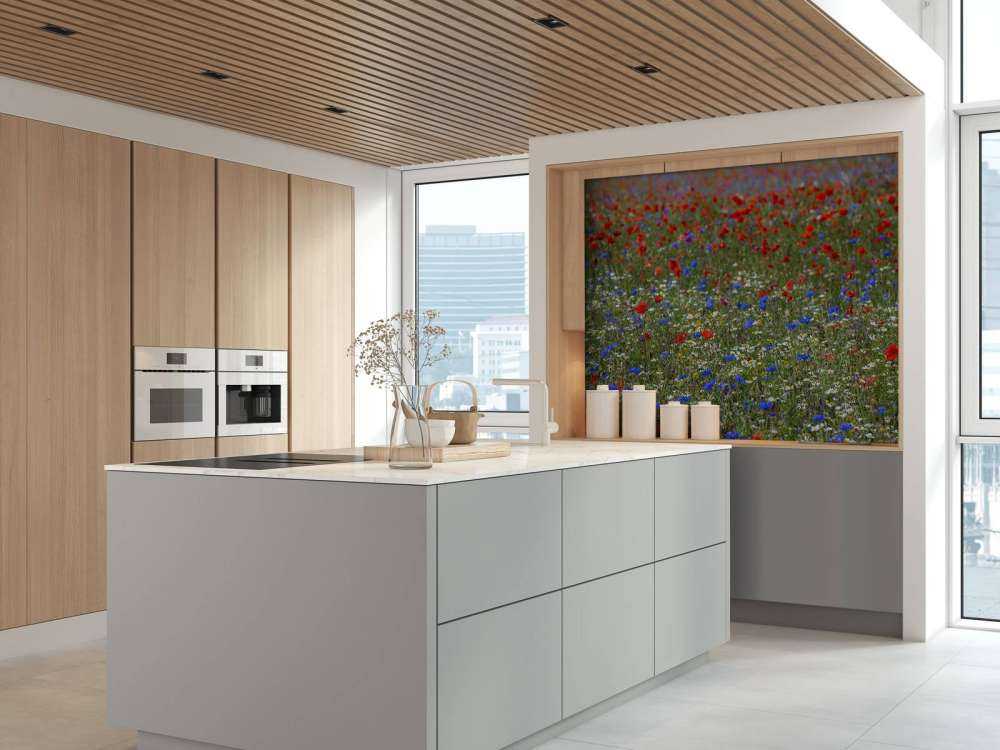 Campo pieno di papaveri