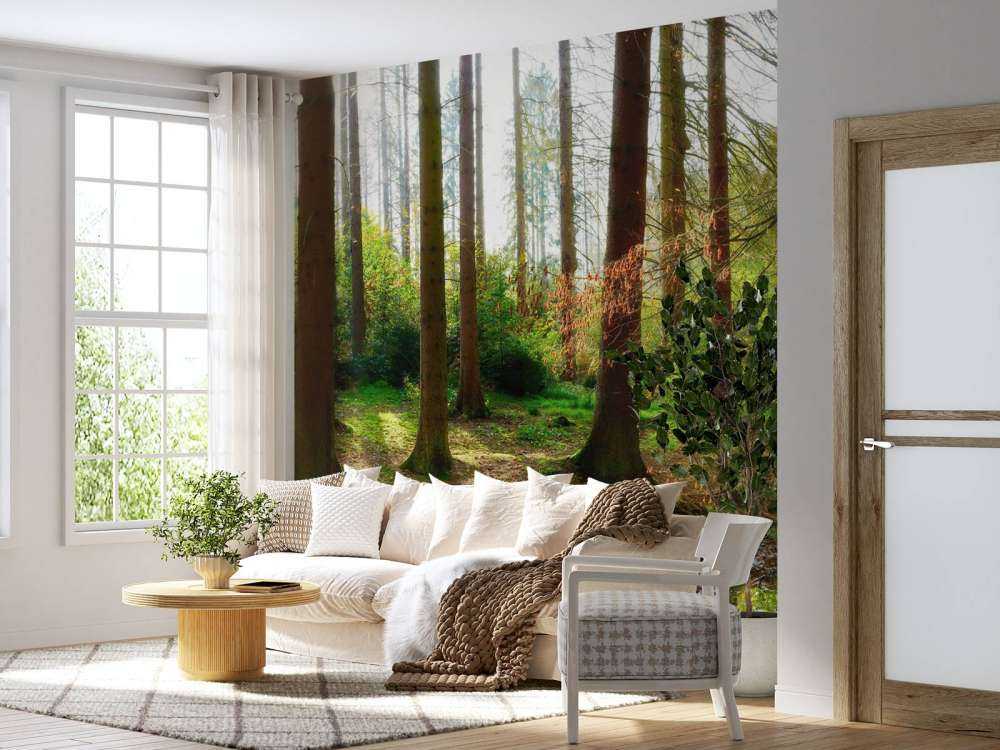 Foresta autunnale con luce solare brillante