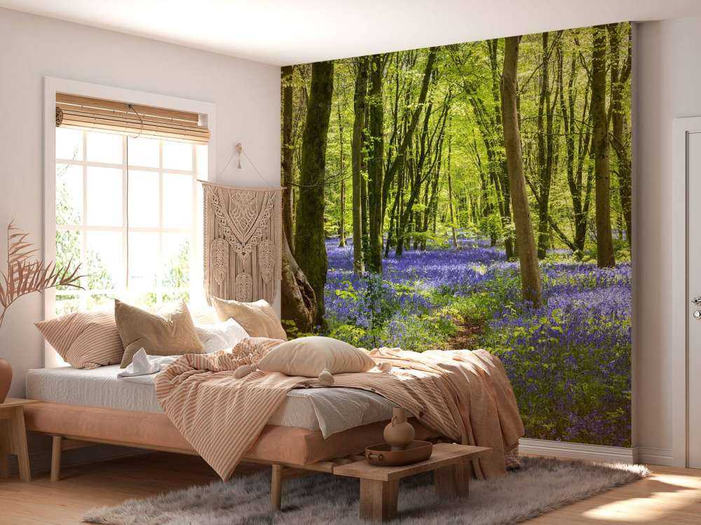 Foresta alla luce del sole