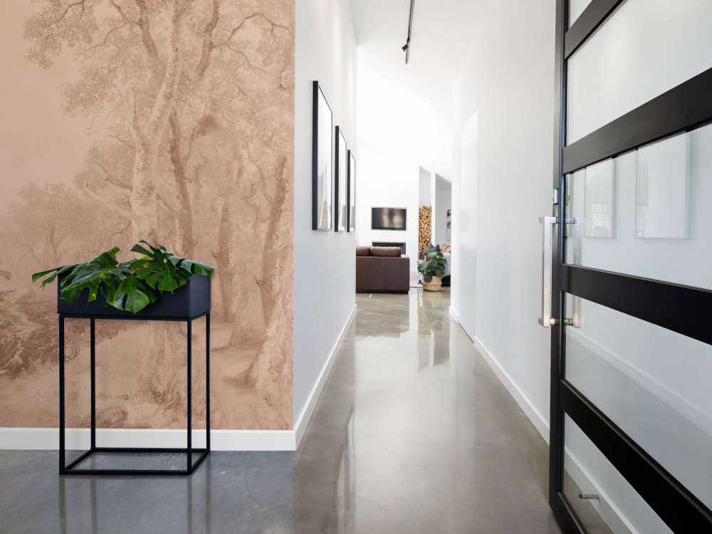 Paesaggio Forestale Terra #1