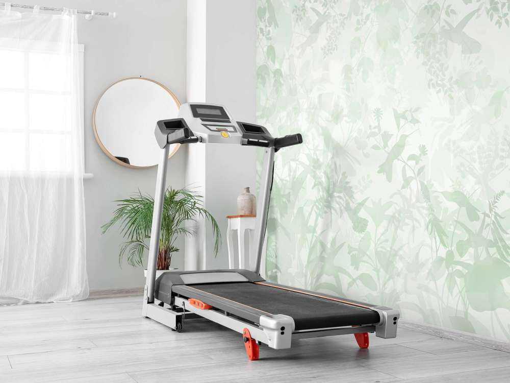 Sinfonia di Giardino in Verde