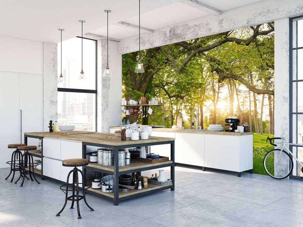 Spazio aperto nella foresta