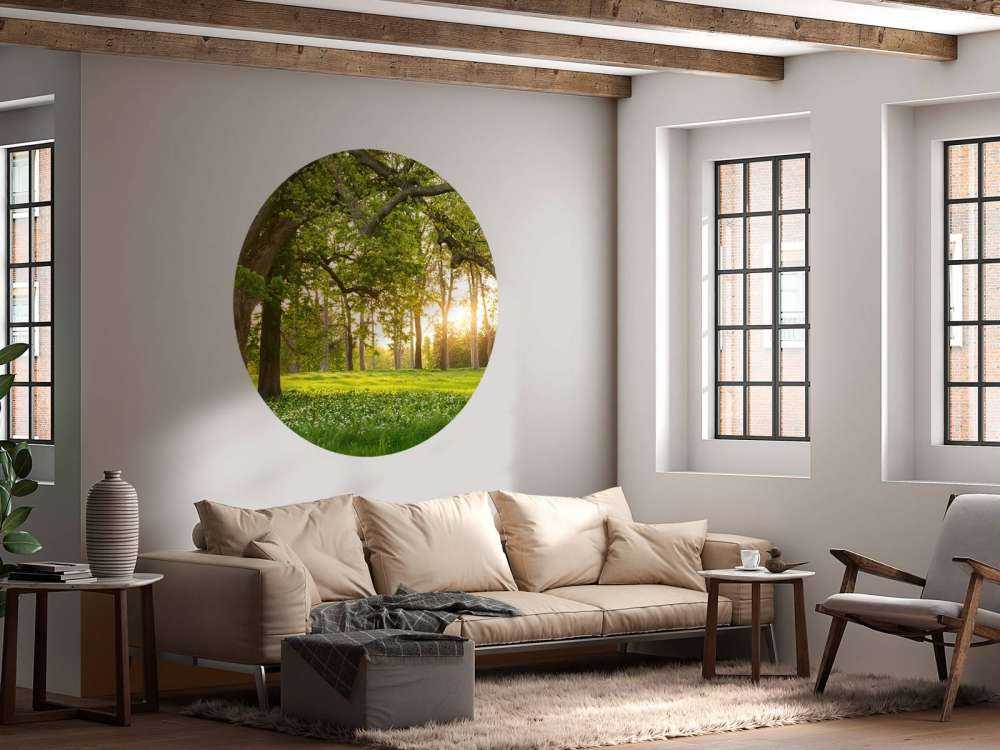 Spazio aperto nella foresta