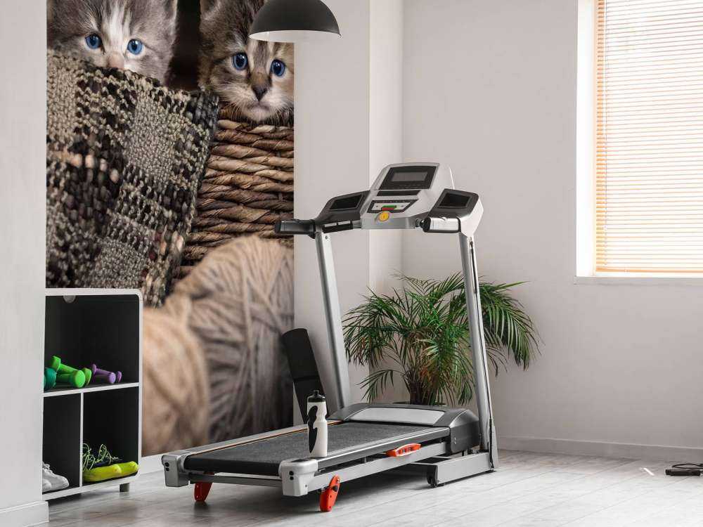 Tre gattini in un cestino