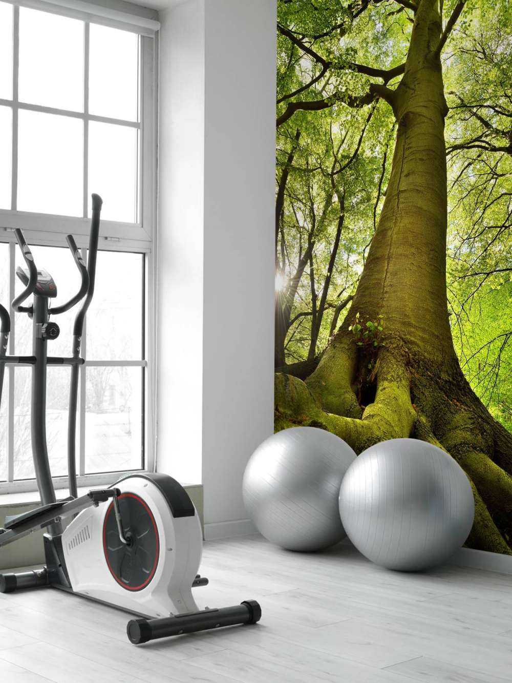 Grande albero e radici