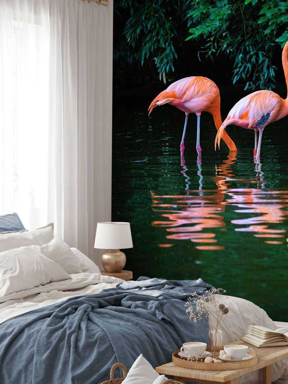 Due fenicotteri caraibici