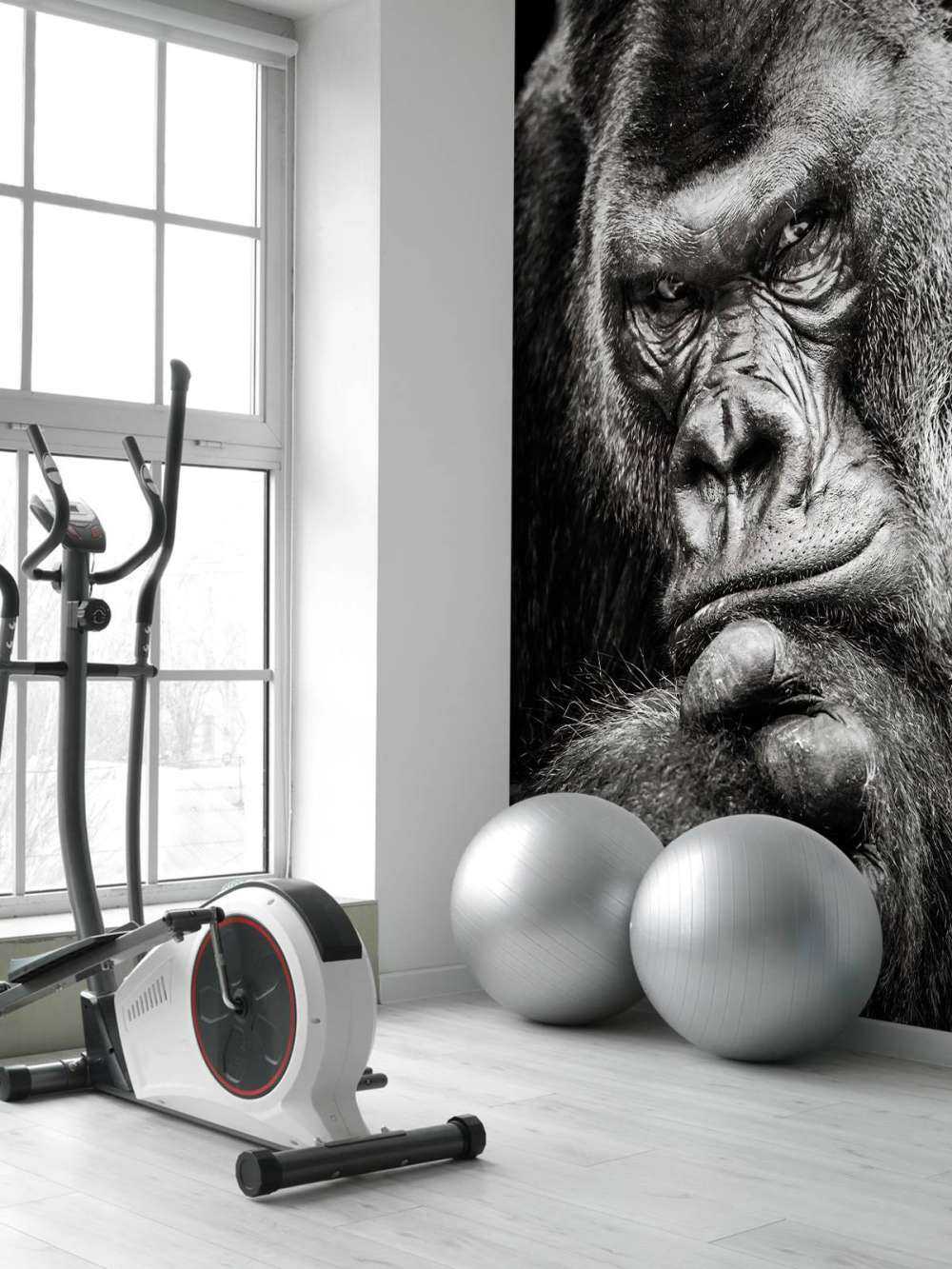 Immagine ravvicinata di un gorilla