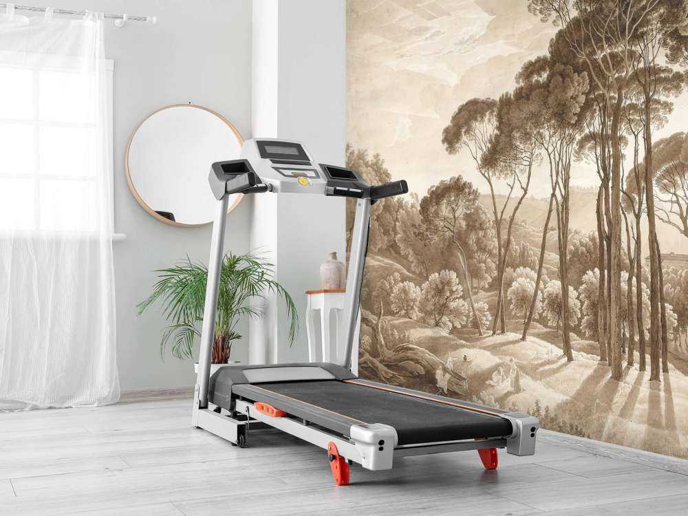 Paesaggio forestale vicino a Roma con il sole al tramonto