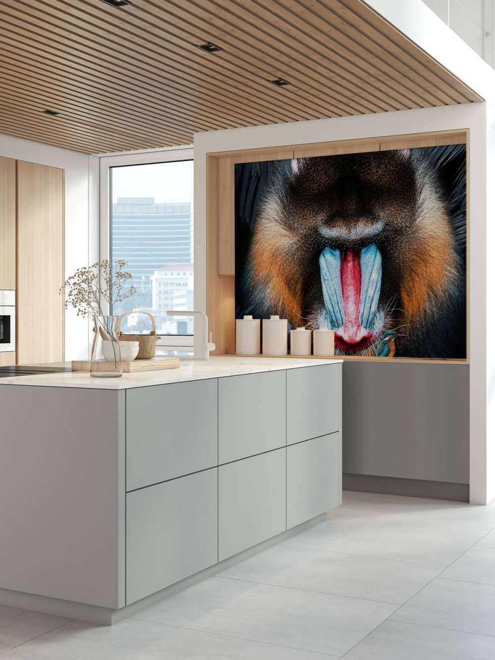 Mandrill Ritratto