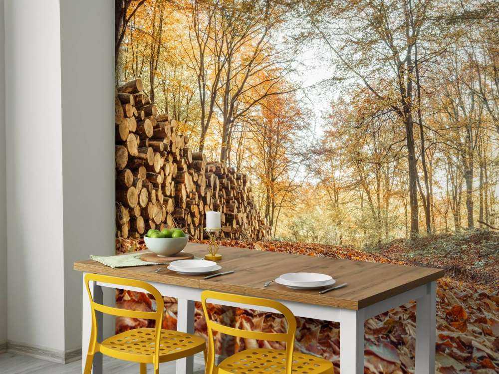 Tronchi d'albero in una foresta autunnale