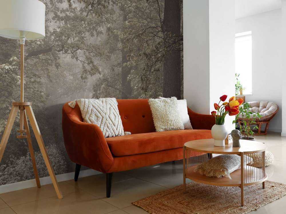 Sentiero attraverso la foresta nebbiosa