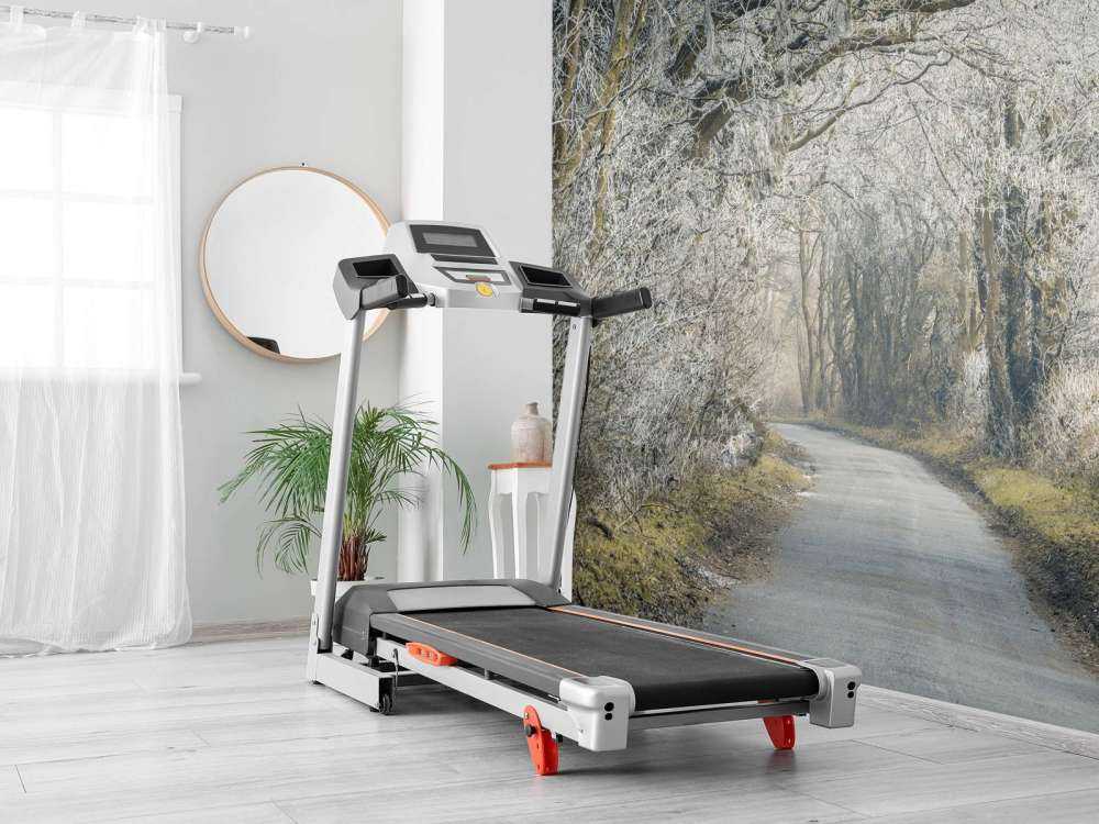 Strada ghiacciata attraverso la foresta