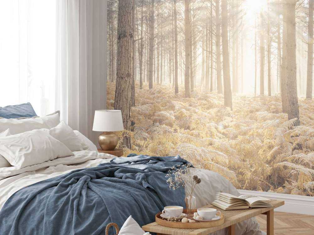 Raggi di sole attraverso la fredda foresta