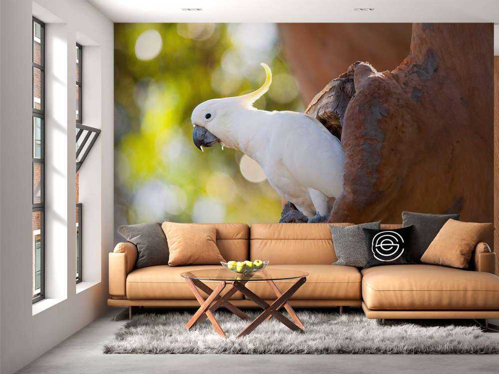 Cacatua in cavità dell'albero