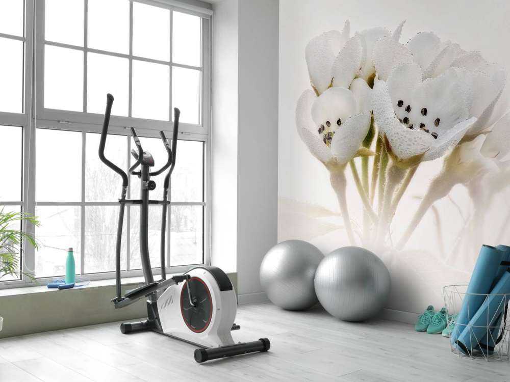 Fiore di pero in primo piano