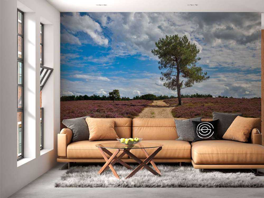 Albero nella brughiera