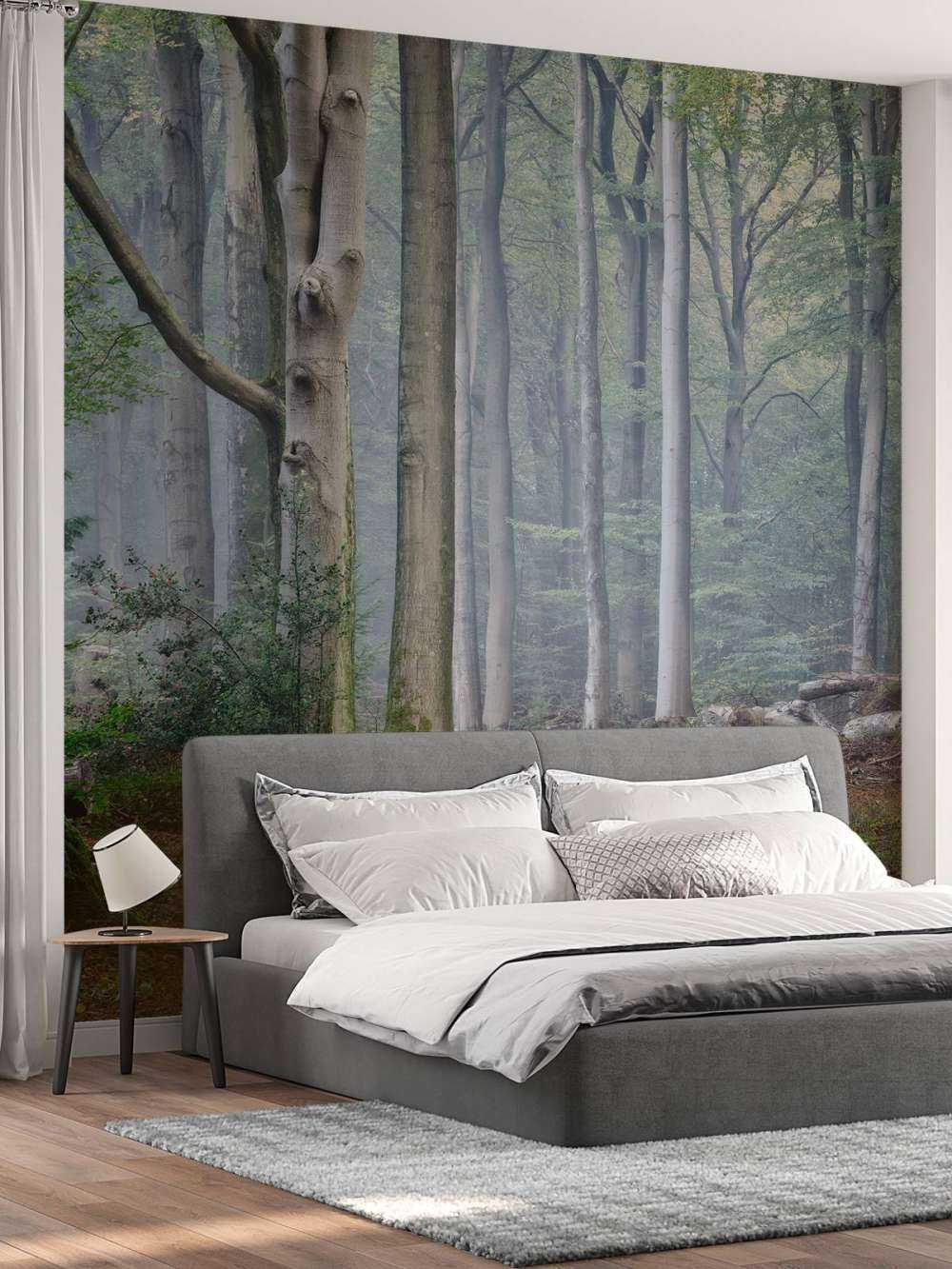 Sentiero attraverso la foresta