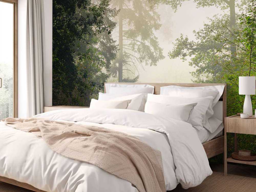 Strada attraverso la foresta nebbiosa