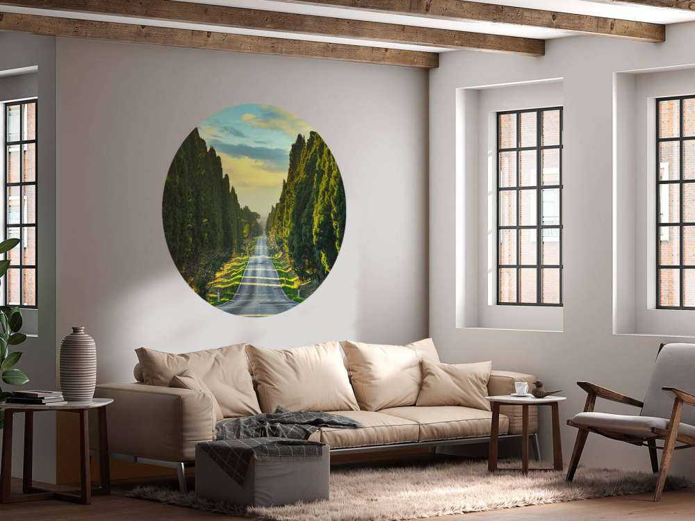 Strada con alberi ad alto fusto