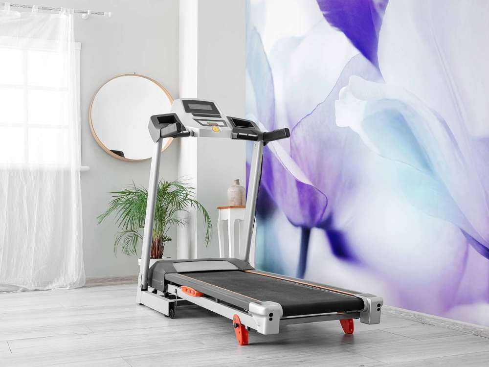 Fantasia di tulipani