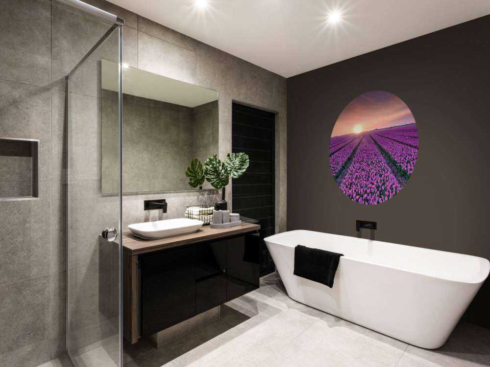 Campo di tulipani all'alba