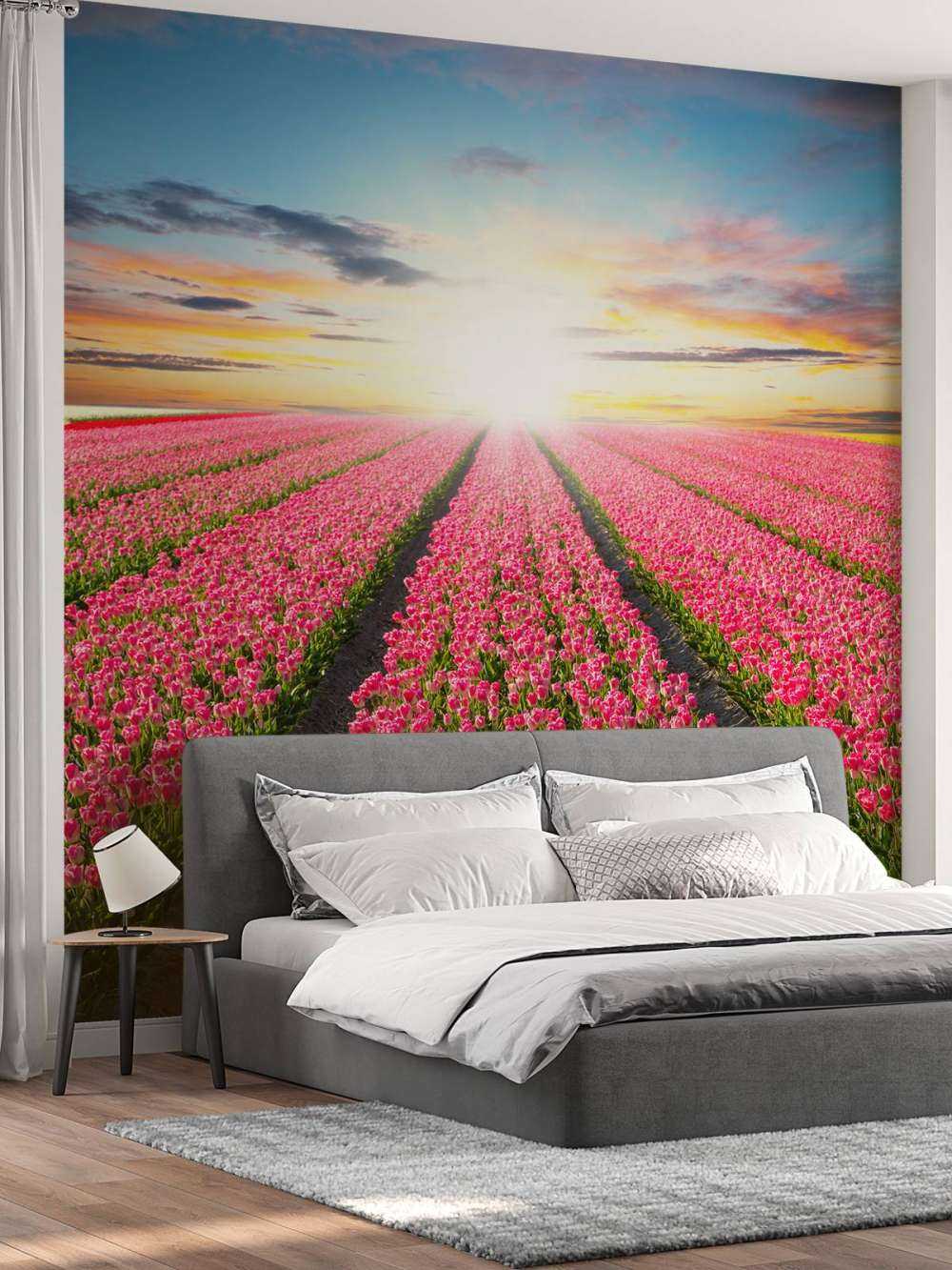 Tulipani con il sole nascente