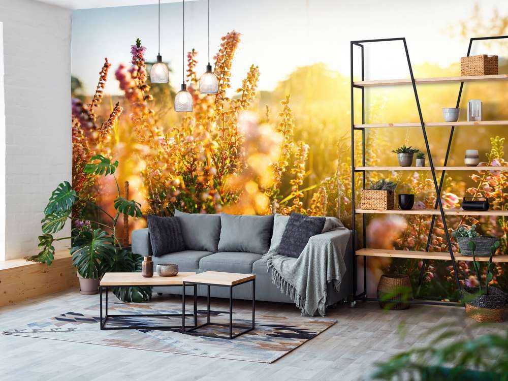 Impianto di erica da vicino