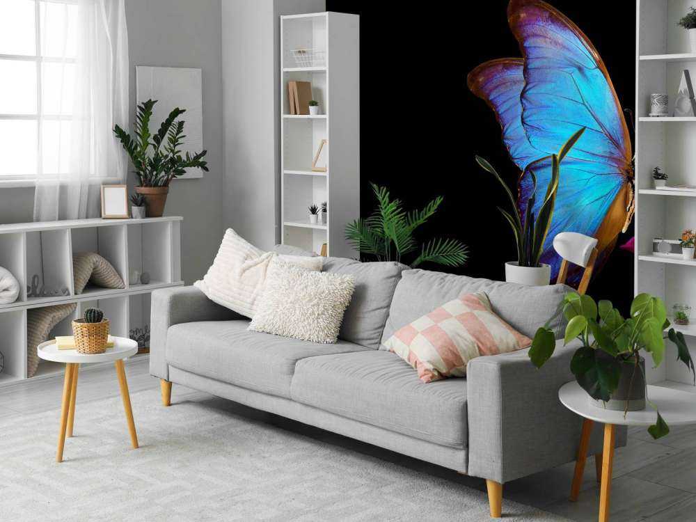 Farfalla su tulipano