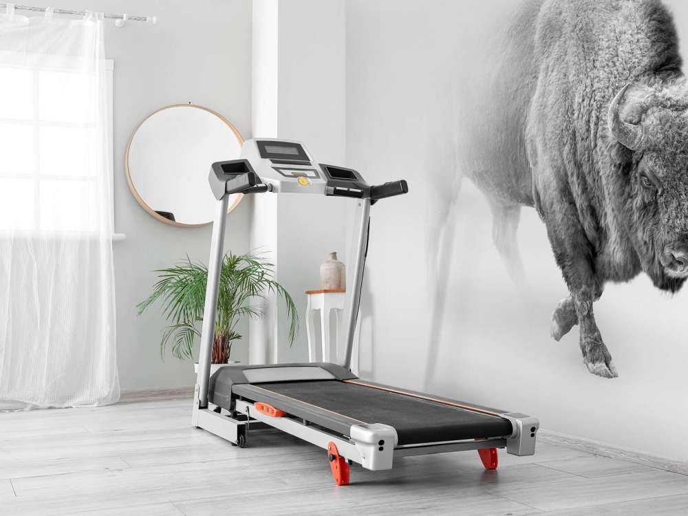 Bisonte bianco e nero