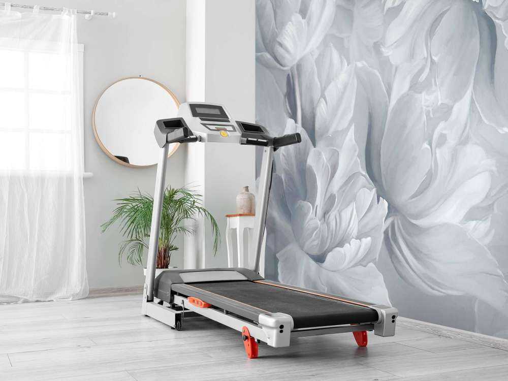 Grande Tulipani Bianchi