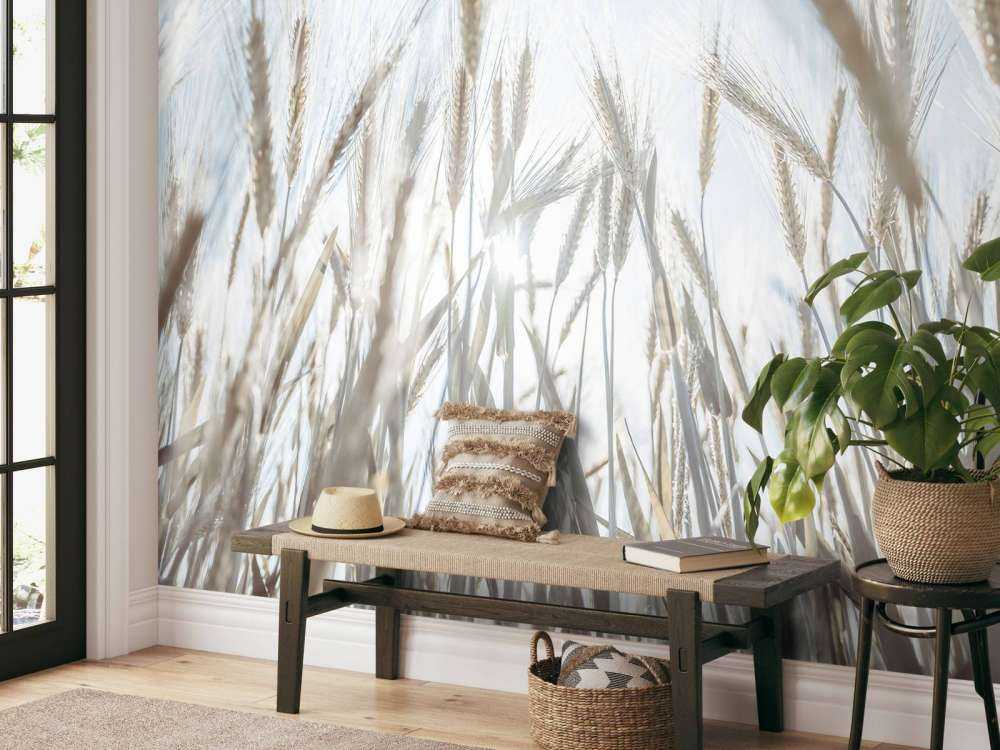 Raggi di sole attraverso il grano